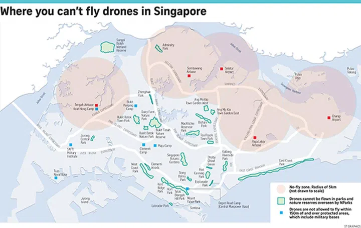 Image Source: The Straits Times
