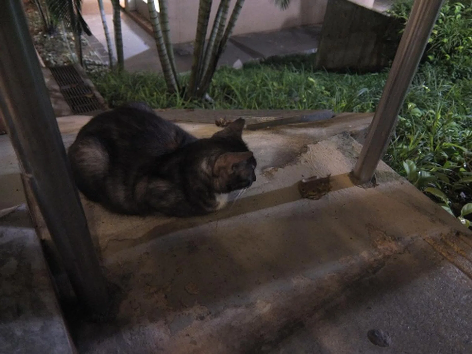 f/1.8 at 25mm, 1/5 sec, ISO800