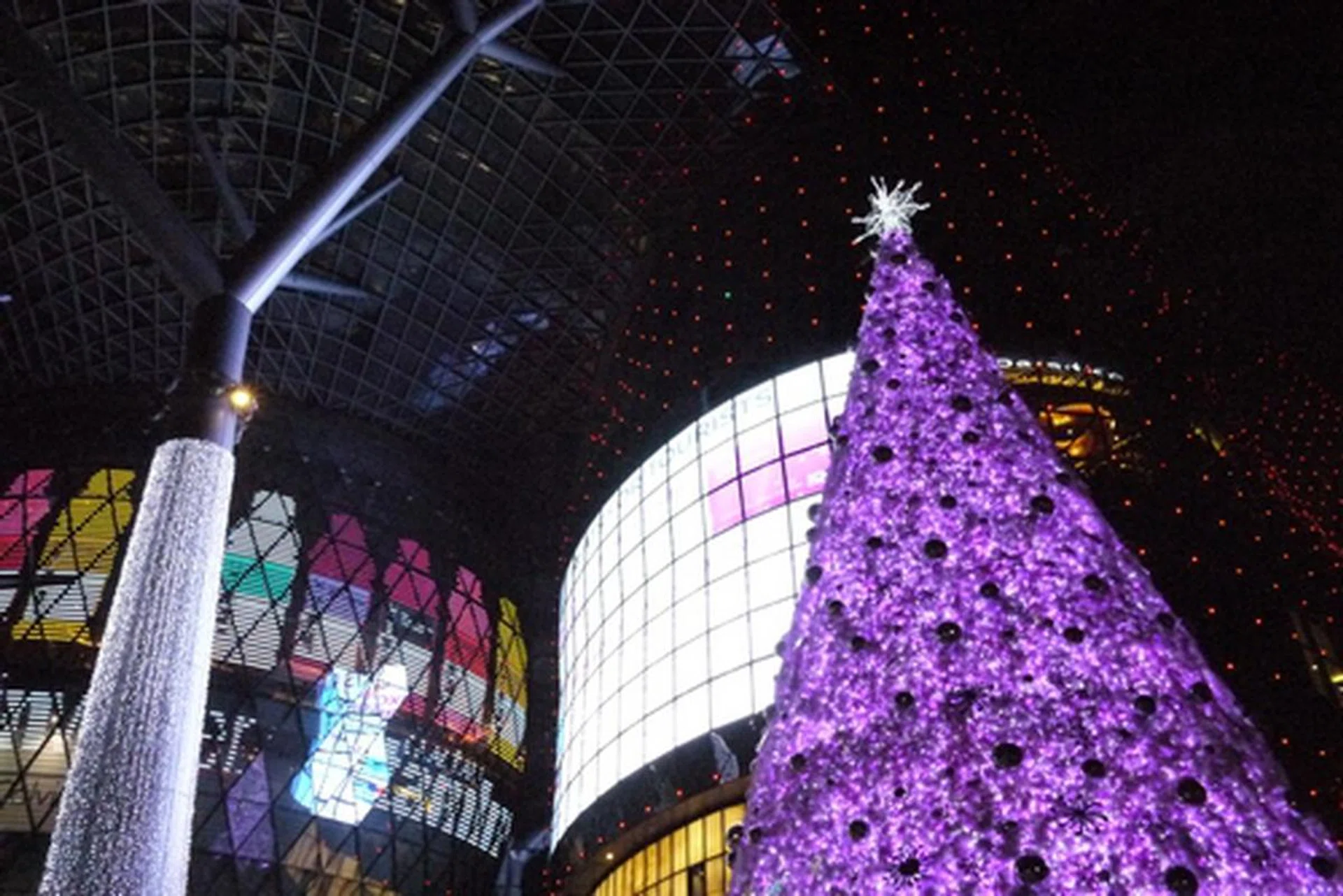 Shot at f8, 1/80 sec, 29mm, ISO3200.