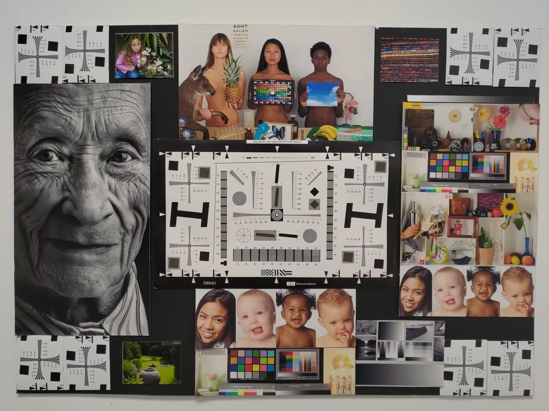 A controlled indoor shot.