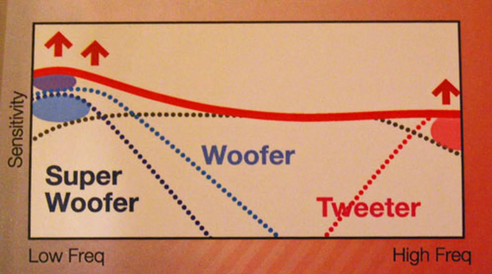 This picture shows how the four drivers affect frequency response. As you can see Sony was in the know about balanced armature's weakness when it comes to bass performance and took steps to rectify it.