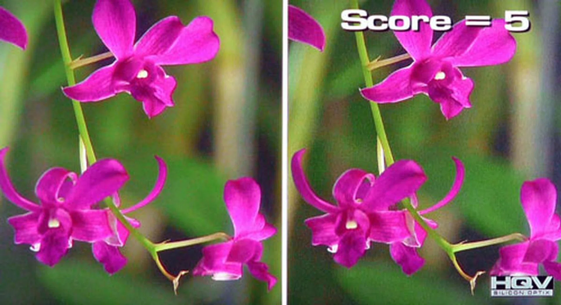 HQV Digital Noise Filtering Test: Although the Viera VT30S' video processor proved its de-interlacing and 24p processing worth, its noise filters still leaves much to be desired.    