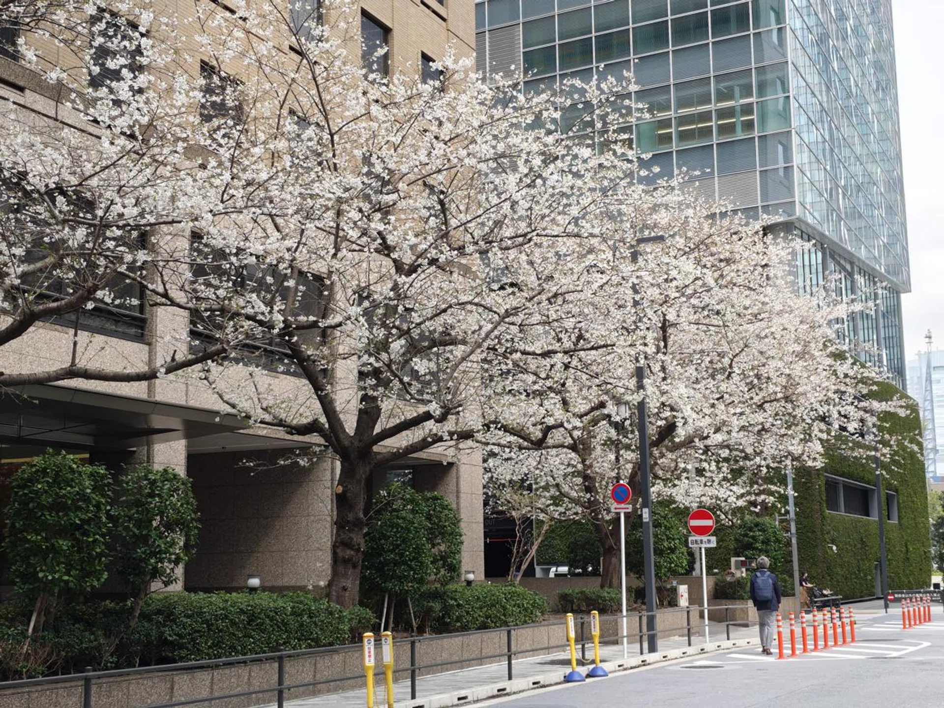 2x digital zoom. Photo: HWZ.