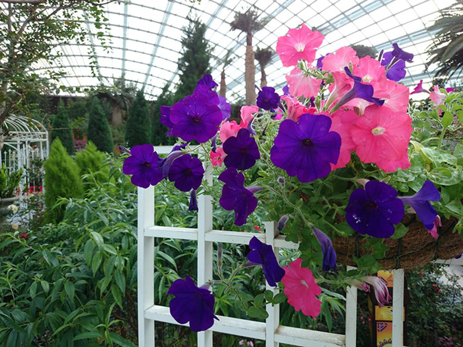 Sony Z1, 20MP, f/2 at 27mm, 1/125 sec, ISO 50. The Z1 camera's strength remains in its rich color reproduction.