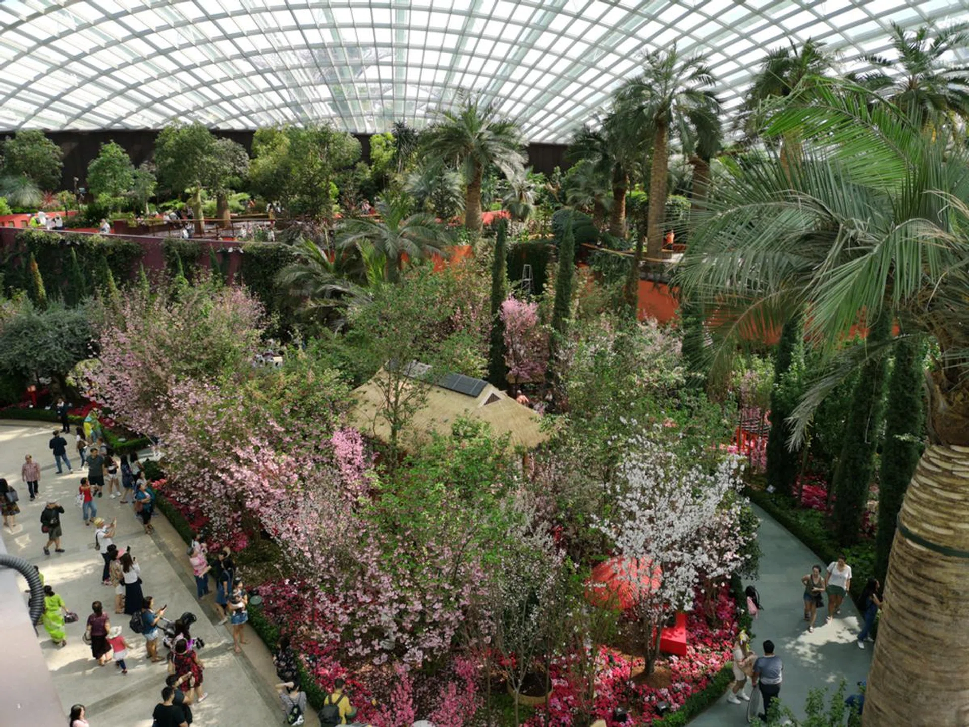 f/1.8 at 3.95mm, 1/350 sec, ISO 50.