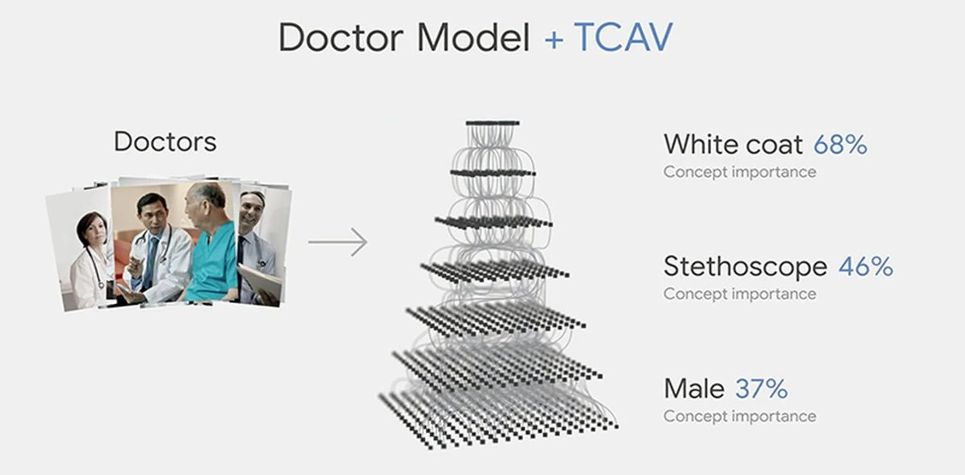 TCAV makes it easier to view an AI's decision-making process in terms of higher level concepts. (Image Source: Google)