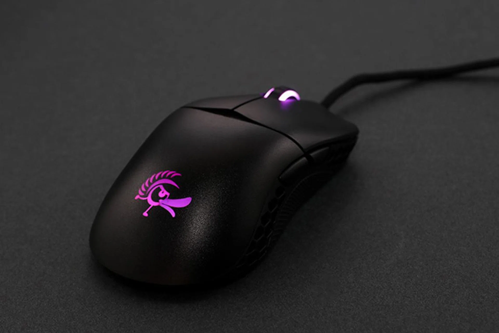 Image Source: Ducky