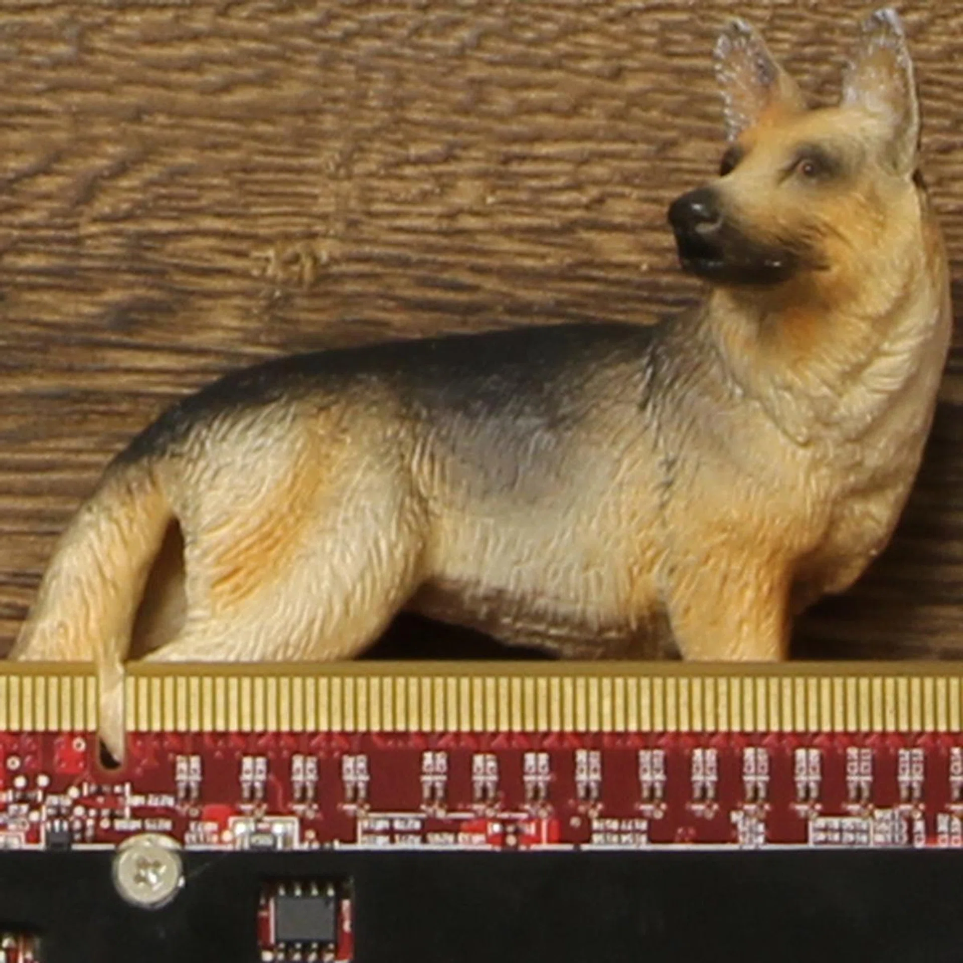 ISO100, 100% crop of our test scene.