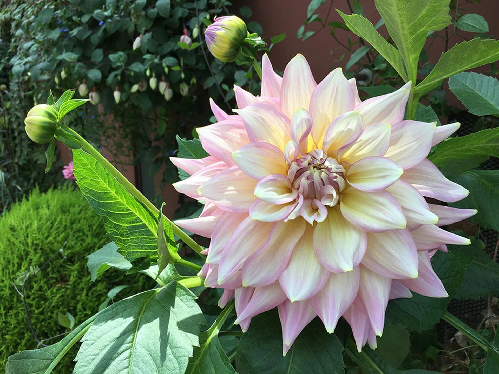 Apple iPhone 6s Plus. f/2.2 at 29mm, 1/380 sec, ISO 25.