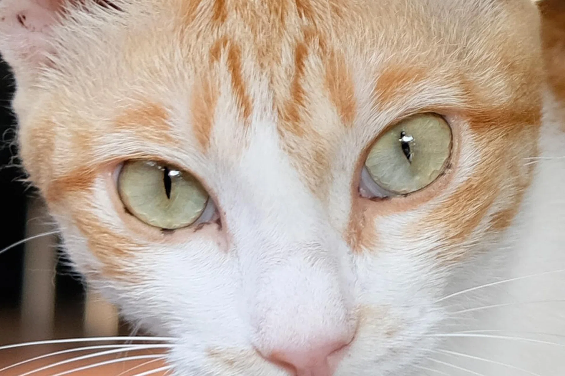 100% crop.