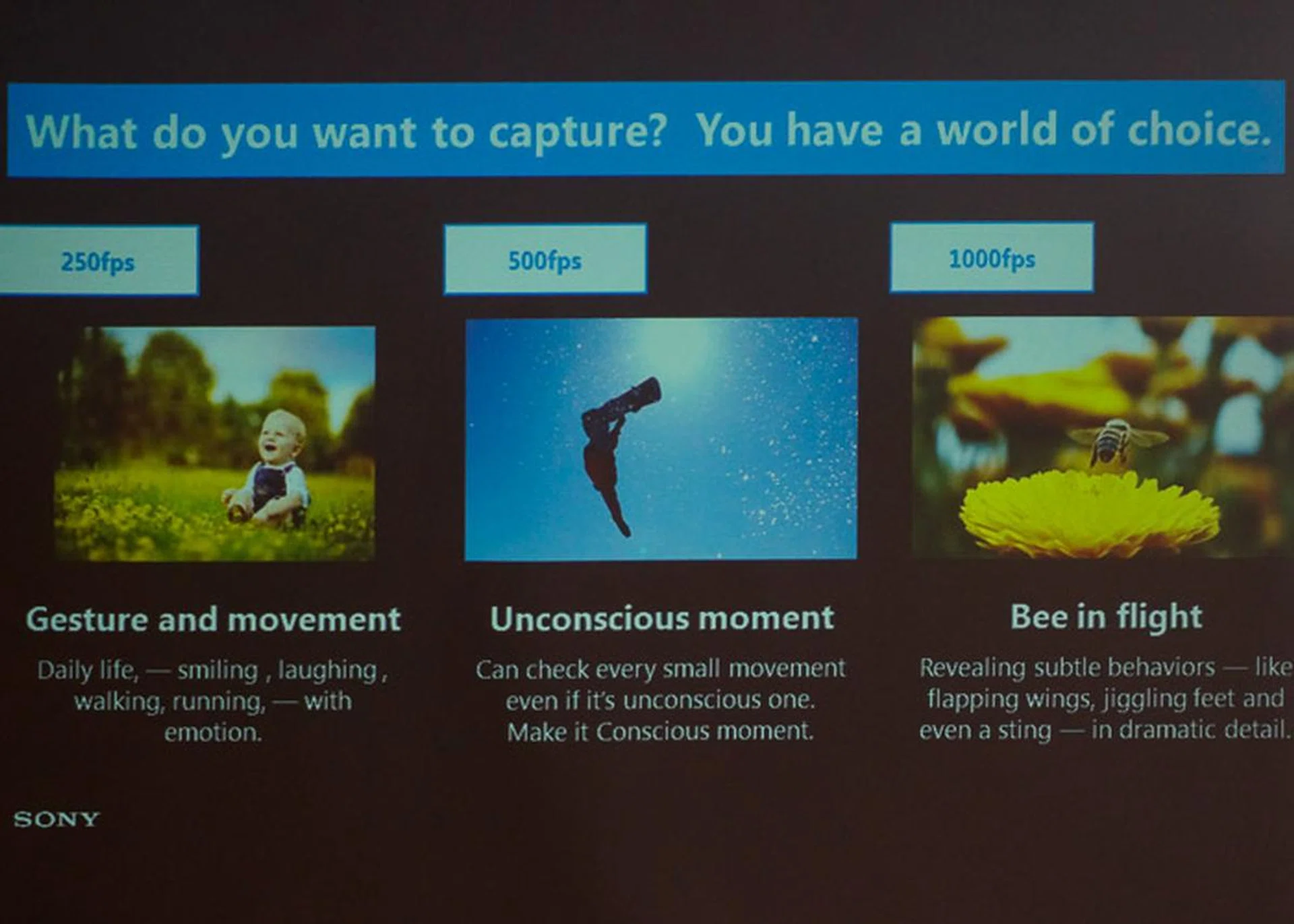 Different settings for different types of action.