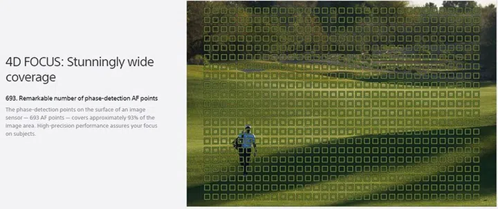 The AF points almost literally dot the entire viewfinder with the A9. 