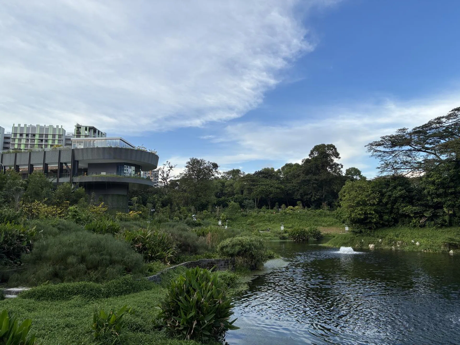 When it nails the lighting, the iPhone 16E is capable of taking great-looking photos. (Click to see image in full resolution. Photo: HWZ)