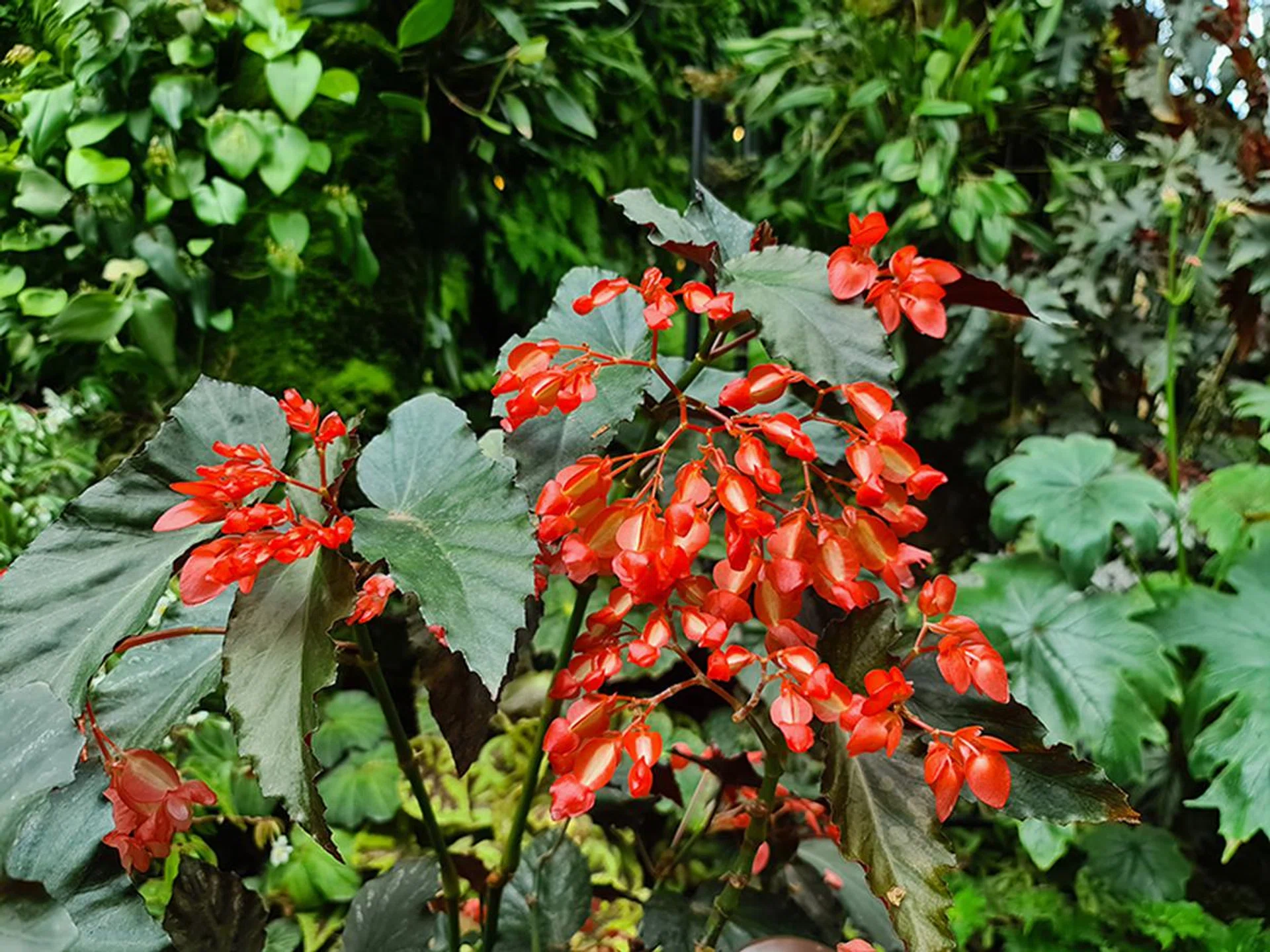 S20 Ultra. (Click to see full-size image)