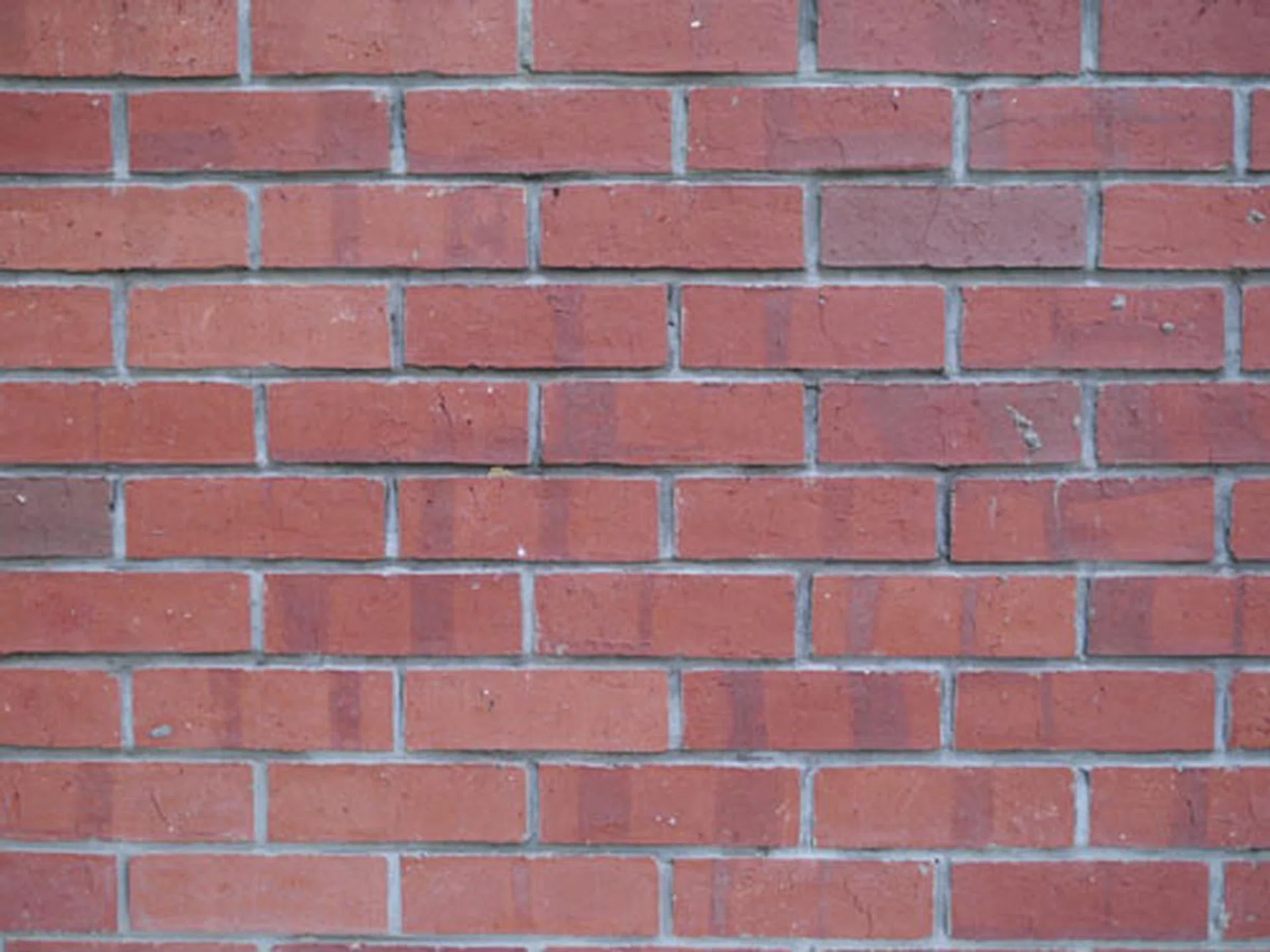 f/2.0 at 25mm, 1/320 sec, ISO160. Click for full-resolution image.