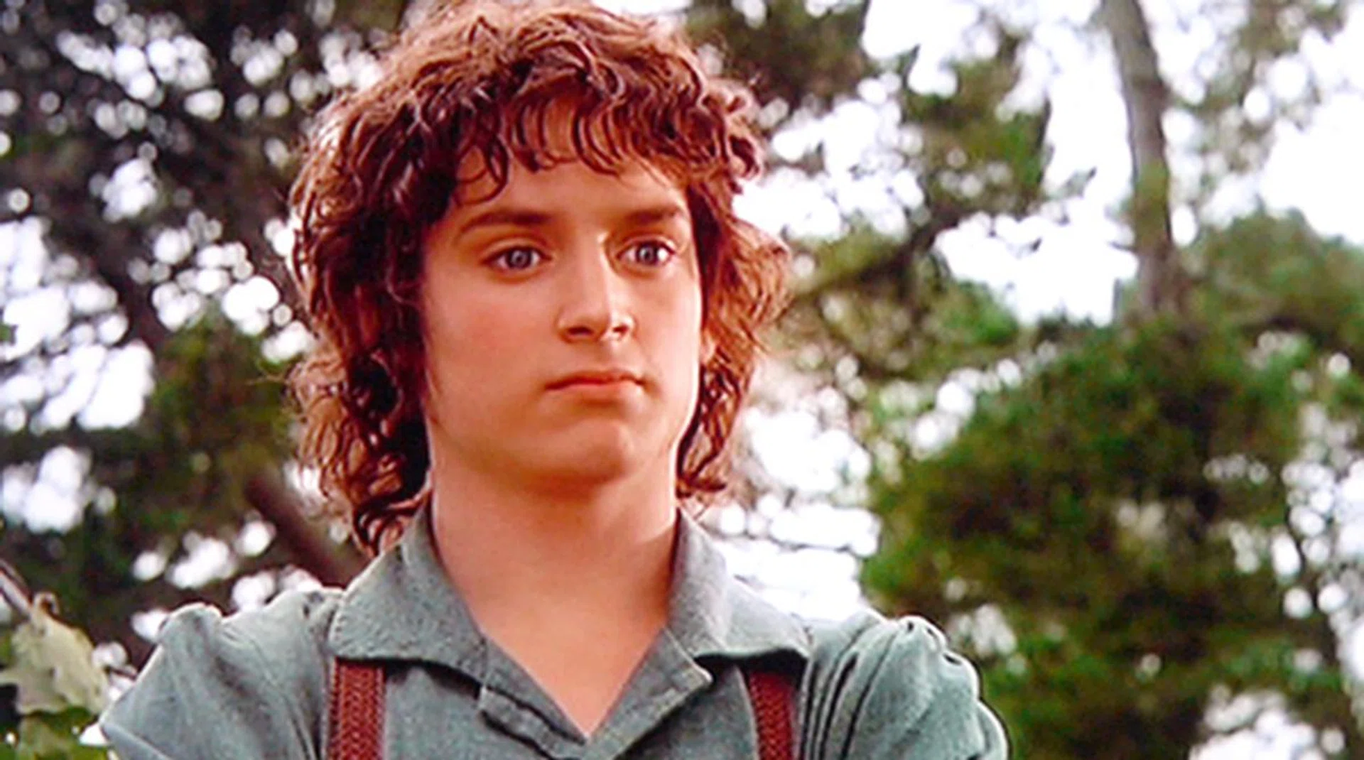 Here is a 480i Frodo caught on a 1080p BRAVIA. Blow for blow, Samsung has a better up-conversion algorithm with DVD sources, but the Sony NX810 isn't too far behind either. Similar to our Blu-ray settings, try not to pump up the TV's Advanced Contrast Enhancer too much. Since compression artifacts would become painfully clear especially with a standard definition source.
