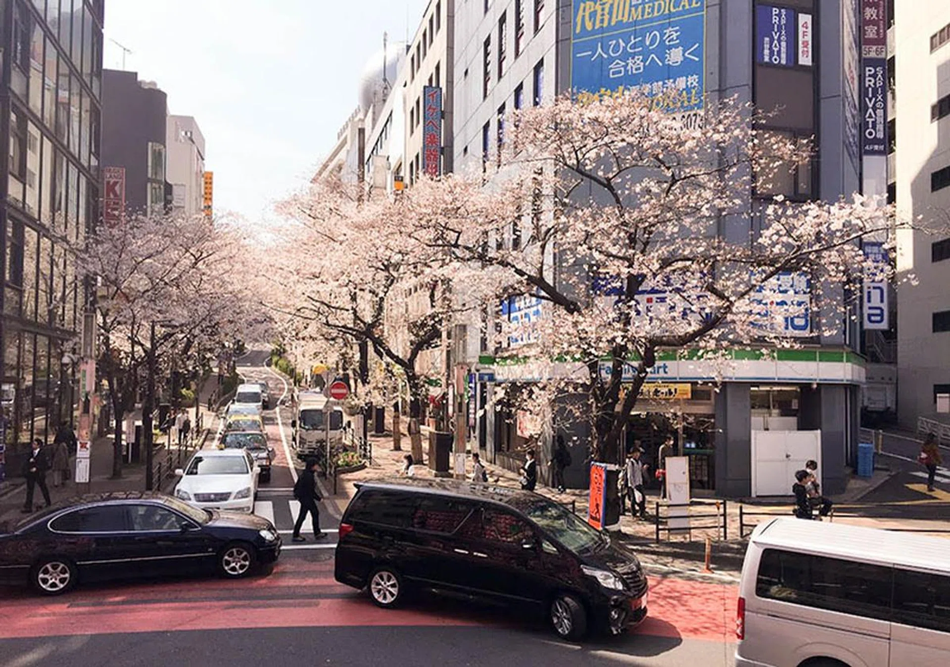 You don't have to head out to parks to see cherry blossom trees. Many streets within Tokyo are lined with them. This was shot in Shibuya.