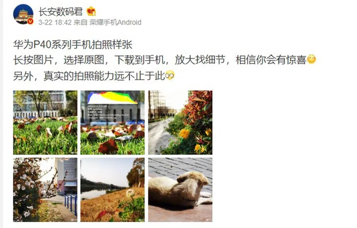 Leaked P40 camera samples on Weibo.