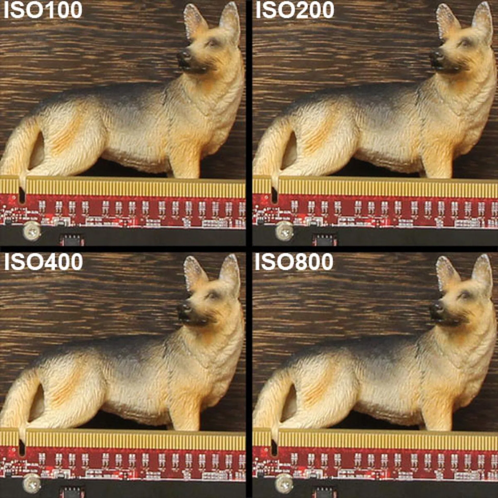 Click for higher resolution image.