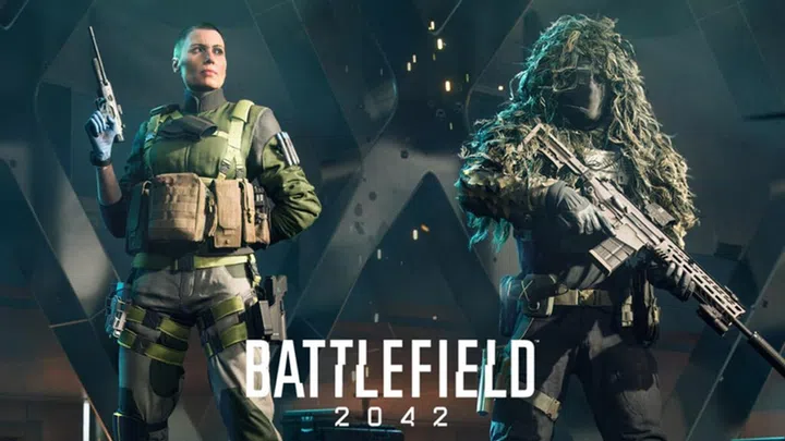 Image: DICE