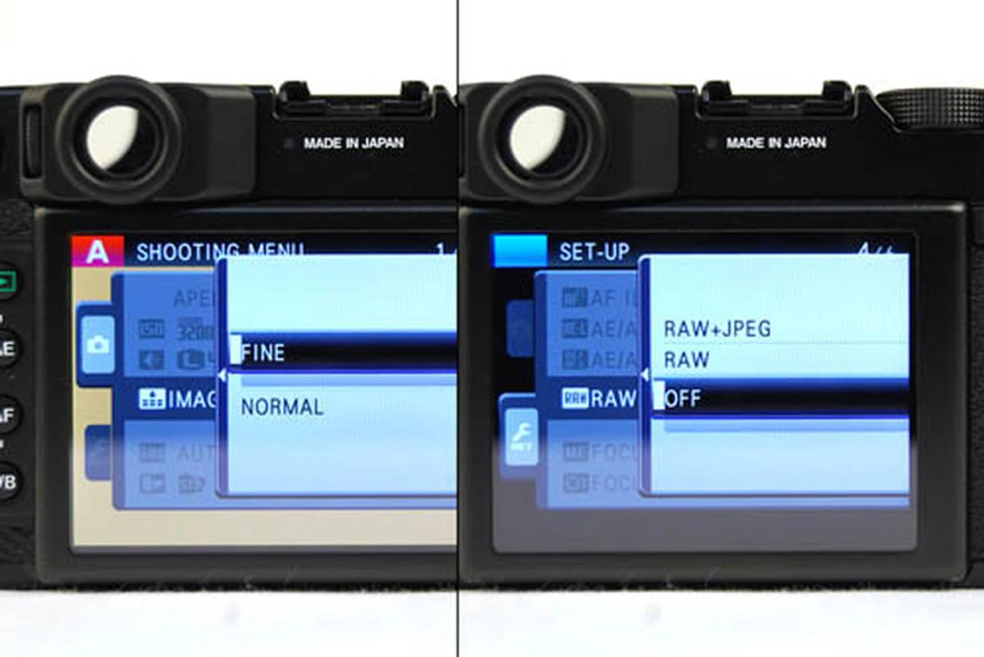 Instead of including the RAW option within Image Quality settings like most compact and DSLR cameras, the RAW option is segregated away in the Set-Up, not Shooting menu.