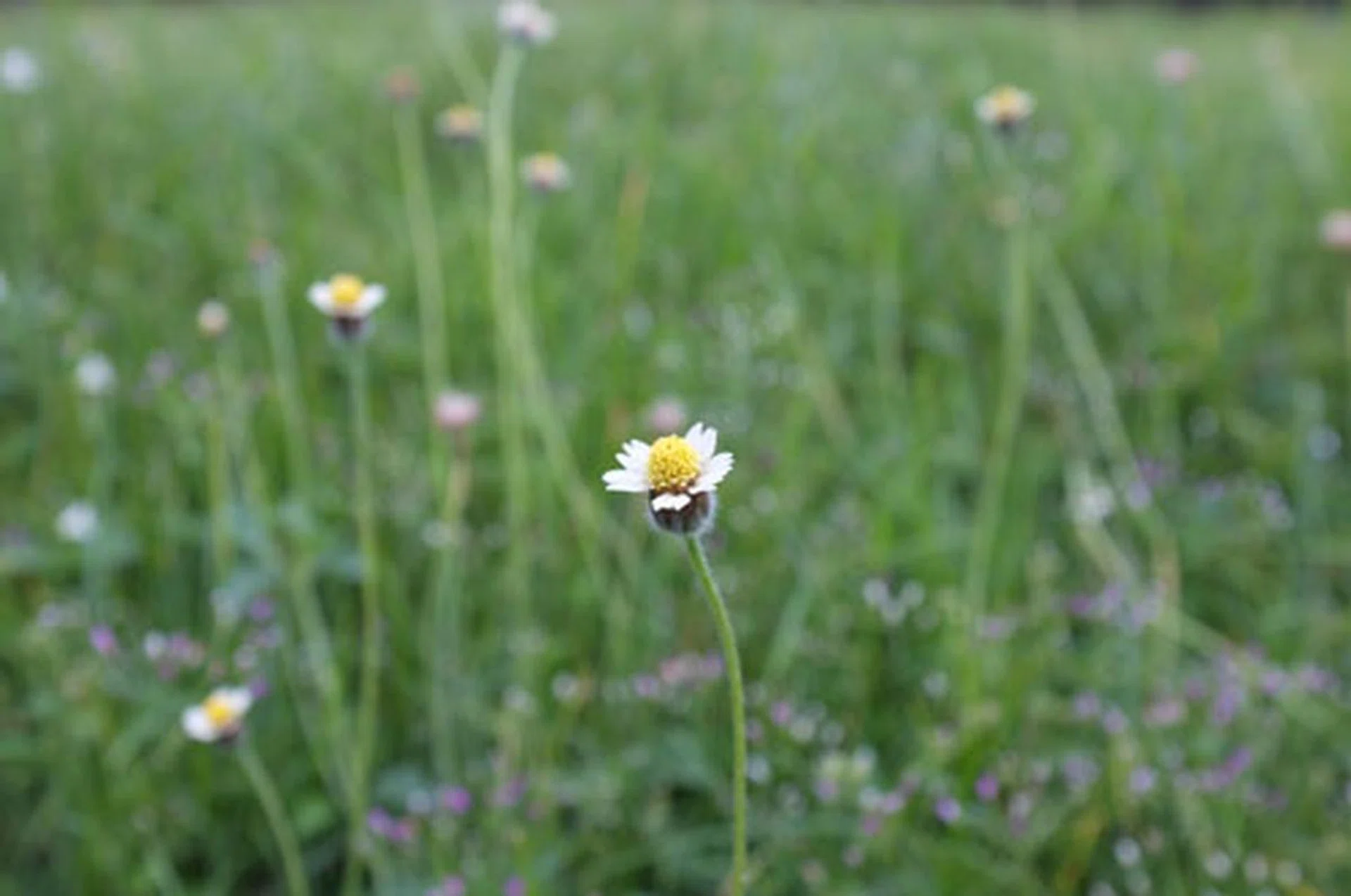 f/5.6 at 35mm, 1/160 sec, ISO400.