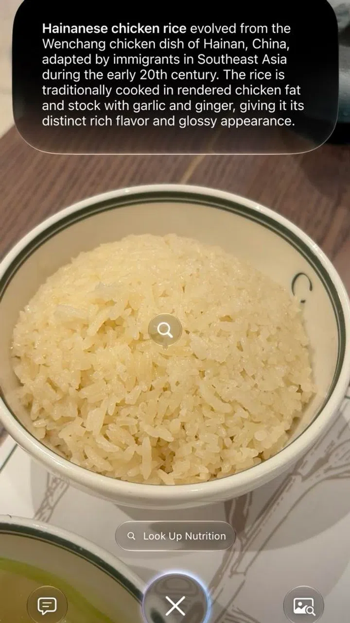 Siri AI food recognition