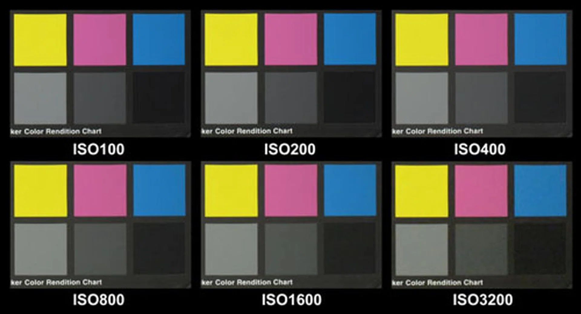 The S90 captures a lot of fine detail. Shot at f/4.9, 105mm, 1/250 sec, ISO400. Click for the full resolution image (warning - large).