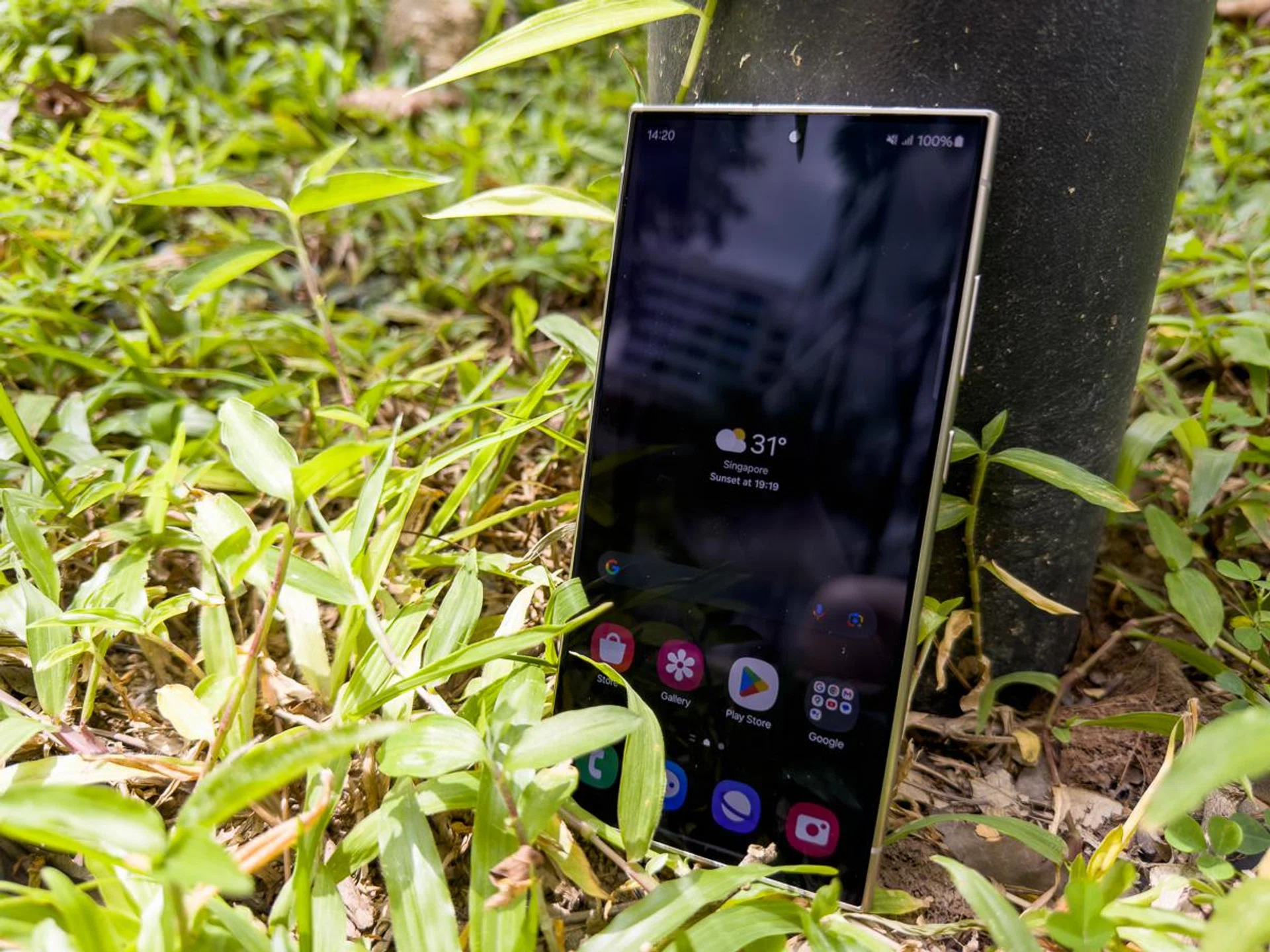 Still visible under harsh afternoon sunlight.