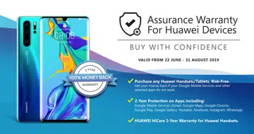 Image source: hachi.tech