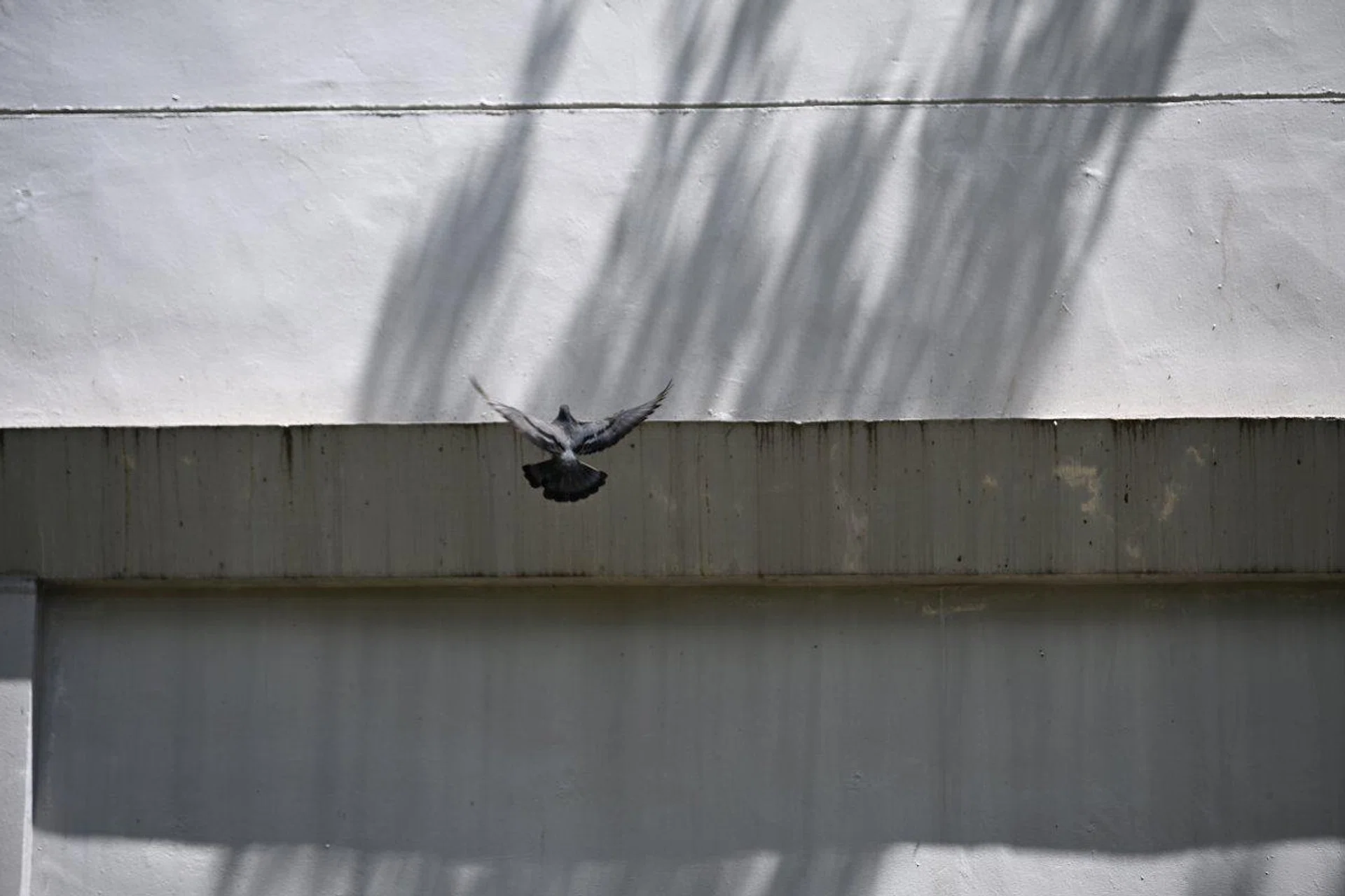 This is the photographer’s fault for not able to shoot a frontal shot. Shooting info: 120mm at f/4, 1/400s, ISO 100. Image Source: HWZ