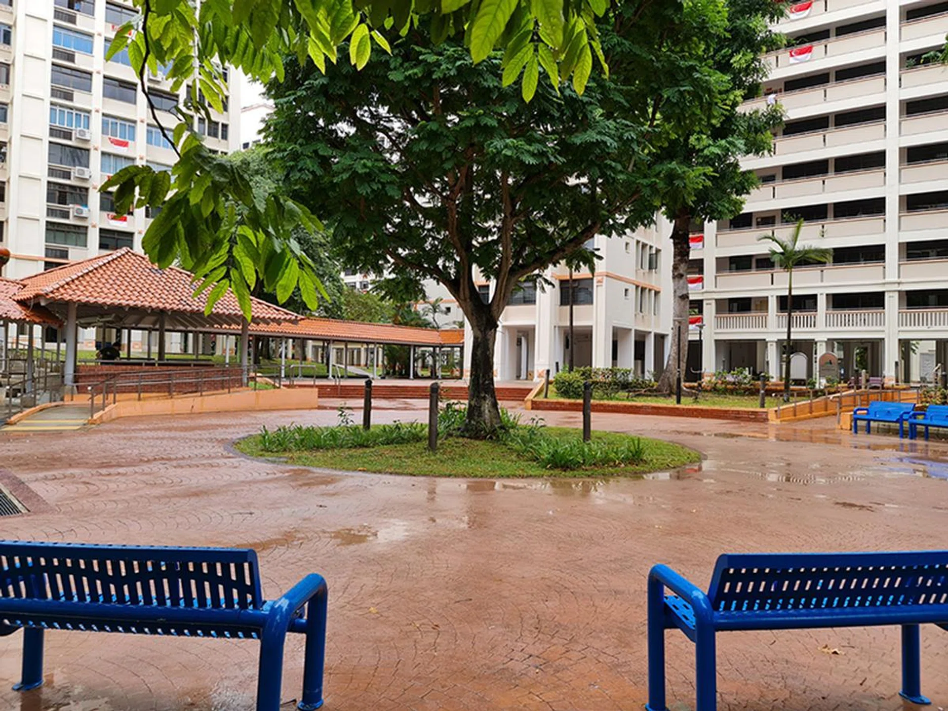 12MP Wide-Angle Camera (main), no zoom.