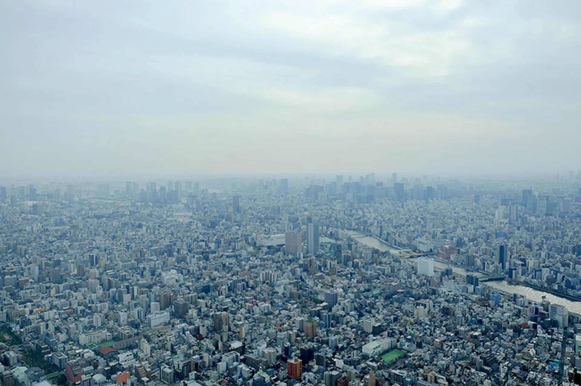 Tokyo is a sprawling metropolis with skyscrapers and buildings that stretch out as far as the eye can see.