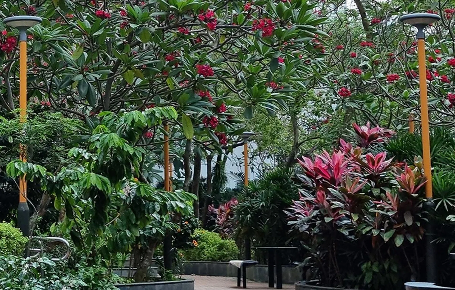 Samsung Galaxy S21 Ultra.