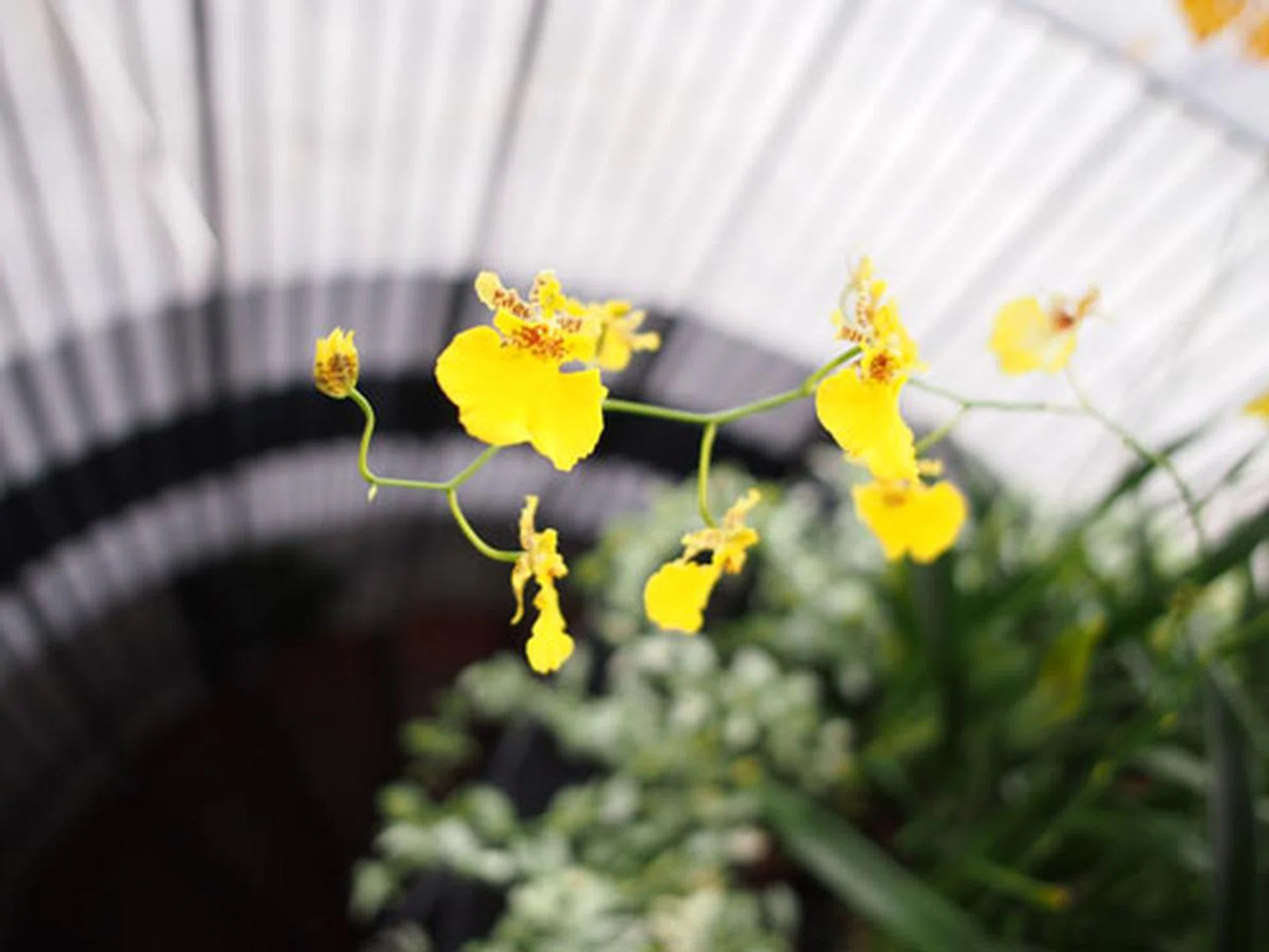 f/2 at 24mm (35mm equivalent), 1/80 sec, ISO200. Click for full-resolution image.