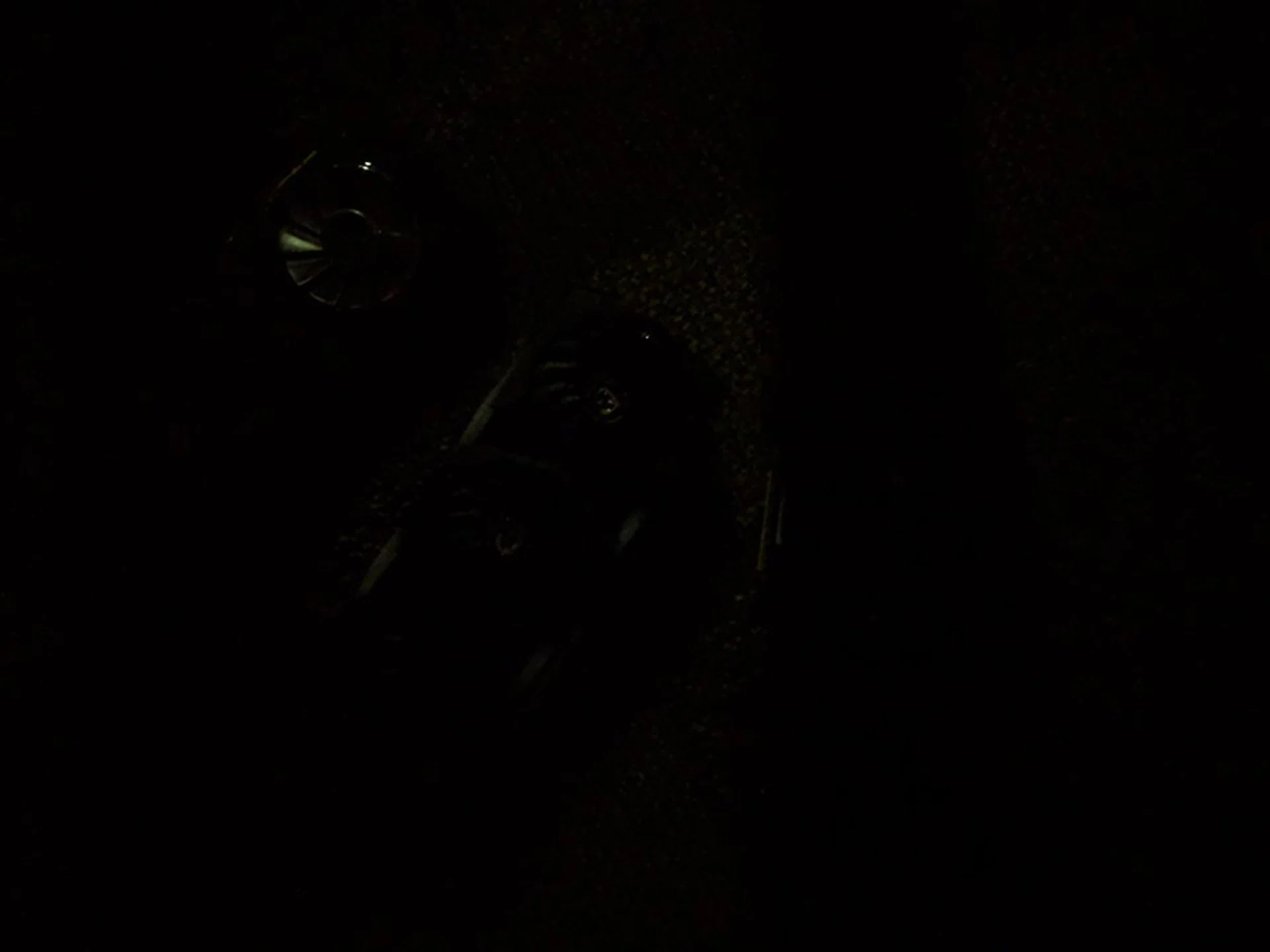 The scene is nearly pitch black without Night Sight.