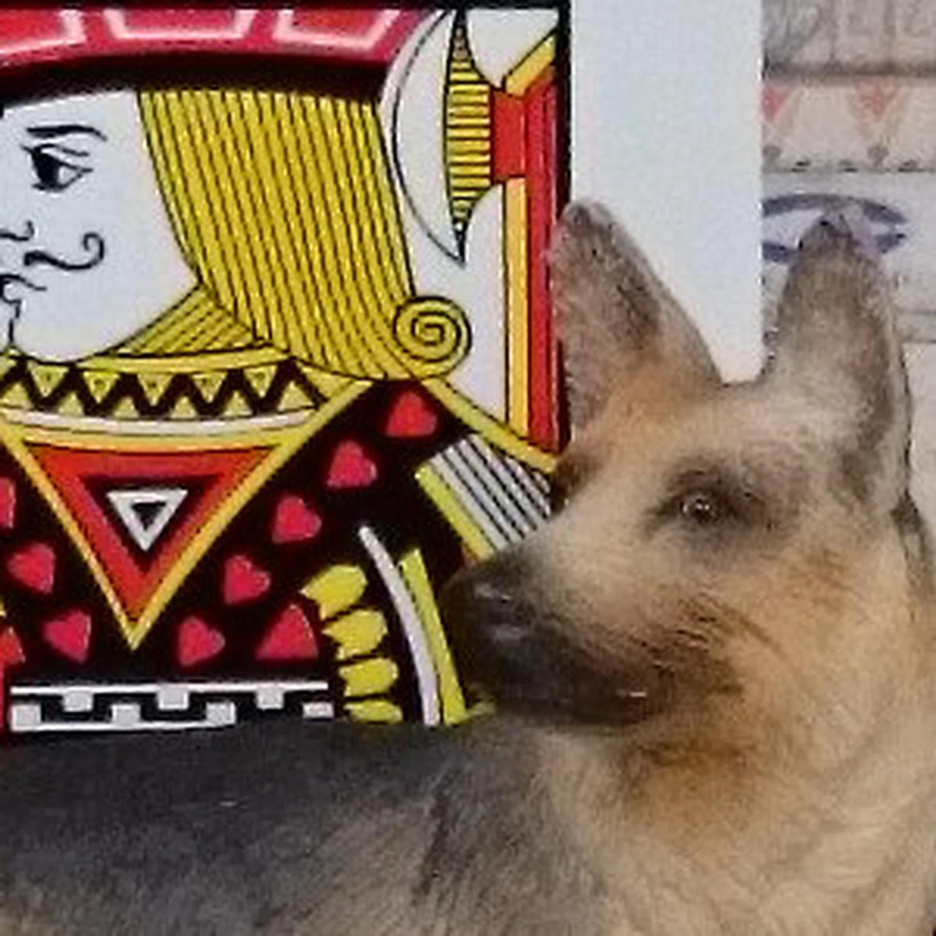 The Sony Xperia Z2 shows that it's capable of a good deal of detail retention when shooting at lower ISO settings. This image was shot at ISO200.