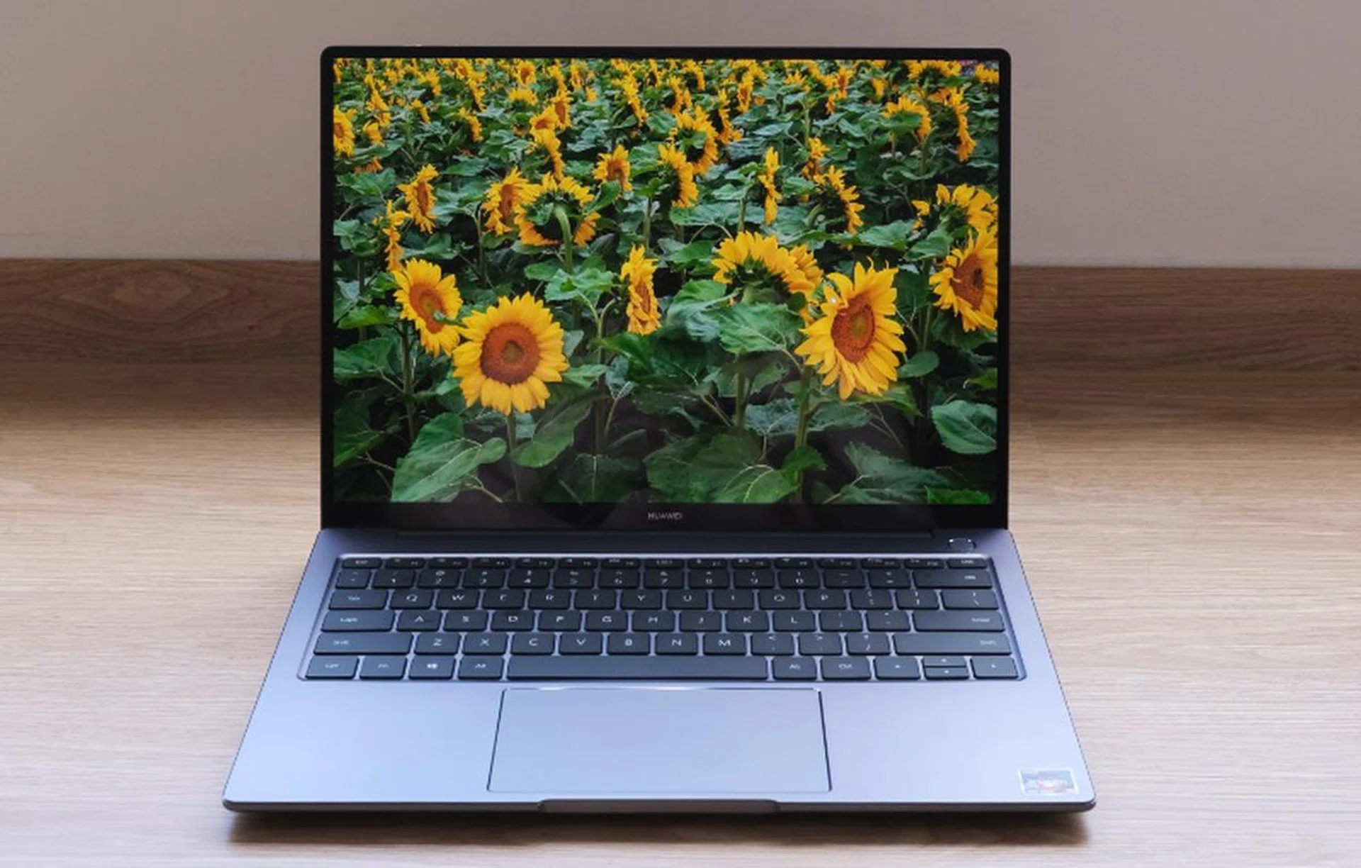 The Huawei MateBook 14 AMD's display is the only one to have a 3:2 aspect ratio. 