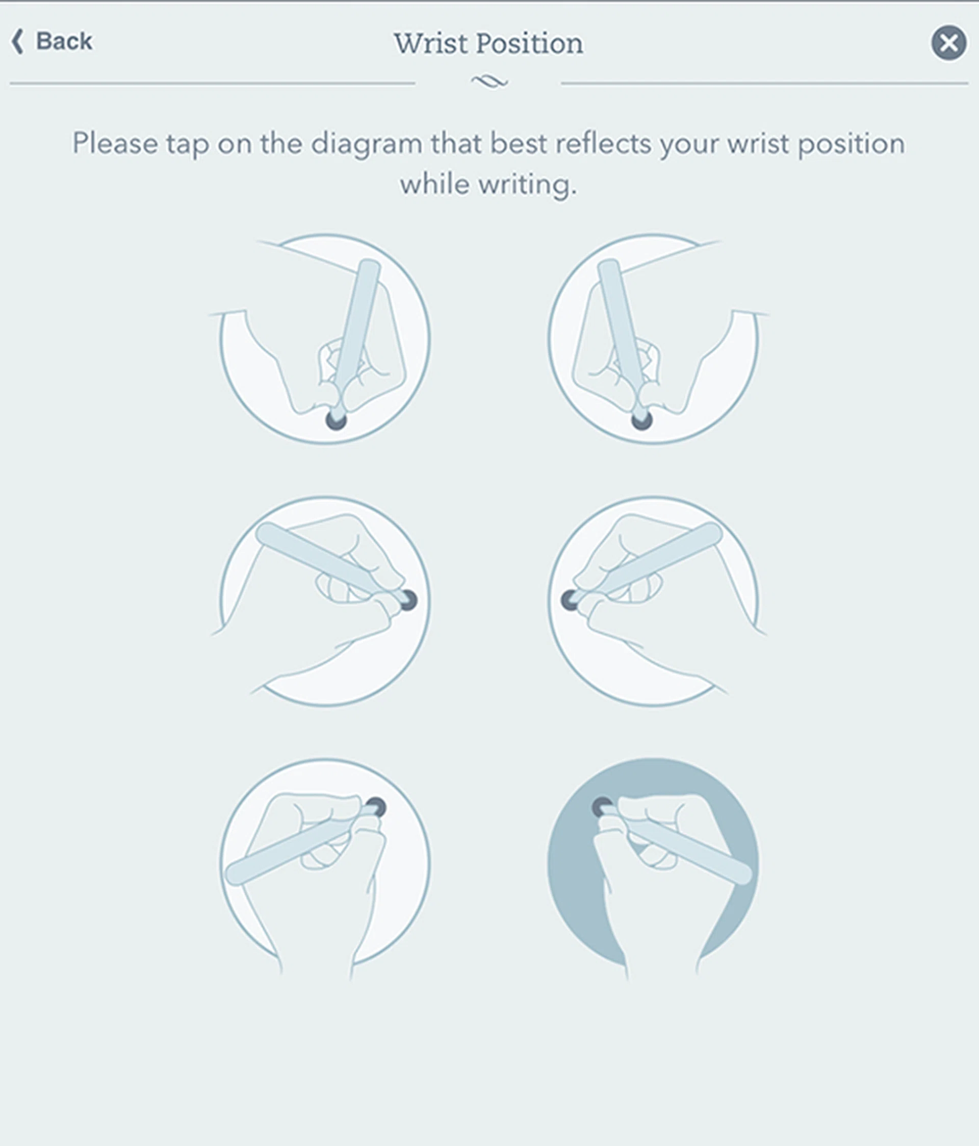 Left or right-handed or no matter what your writing style, Penultimate is able to accommodate and make adjustments to ensure your palm doesn't get accidentally registered as inputs.