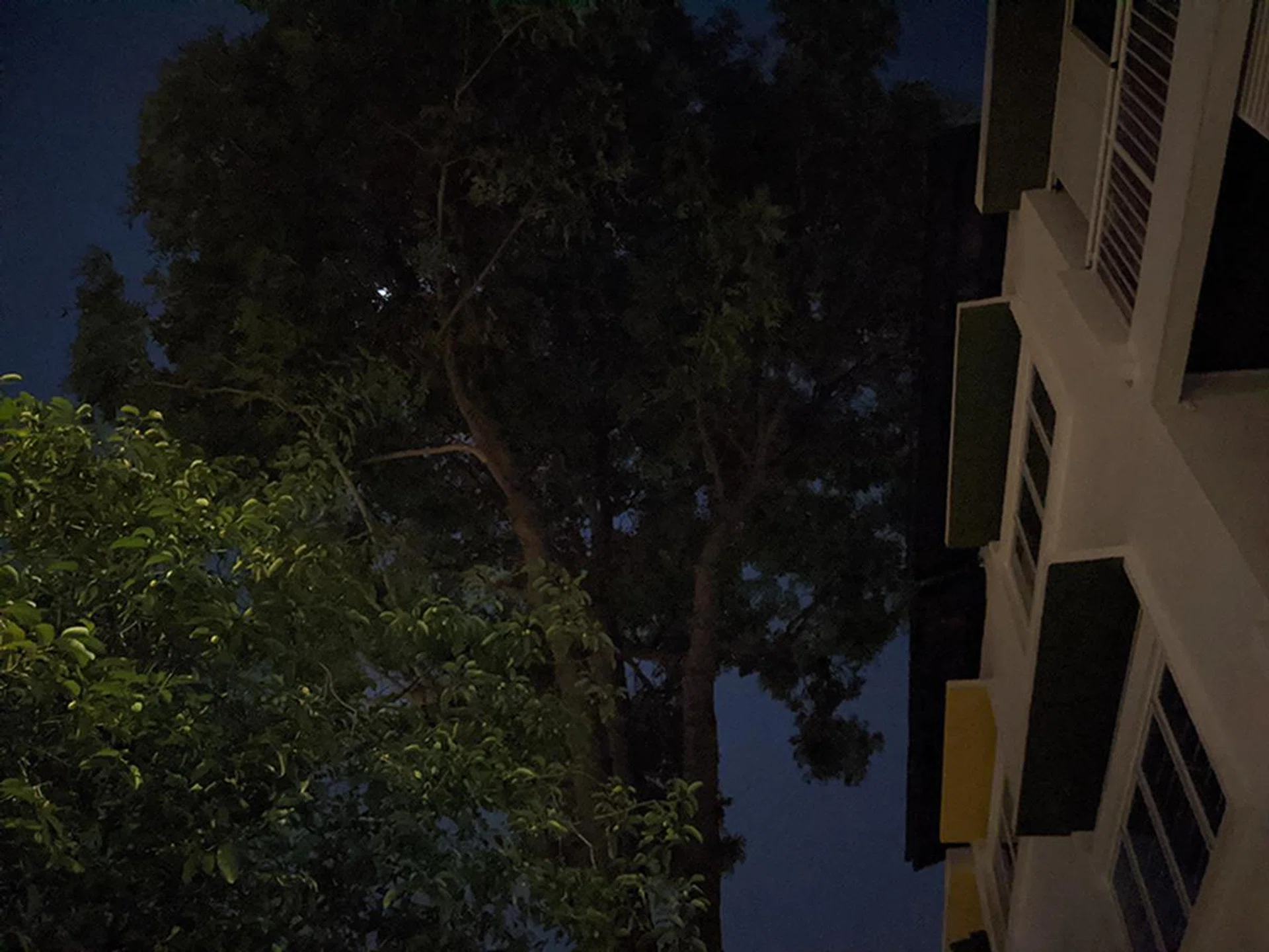 Pixel 4a, Night Sight off. 