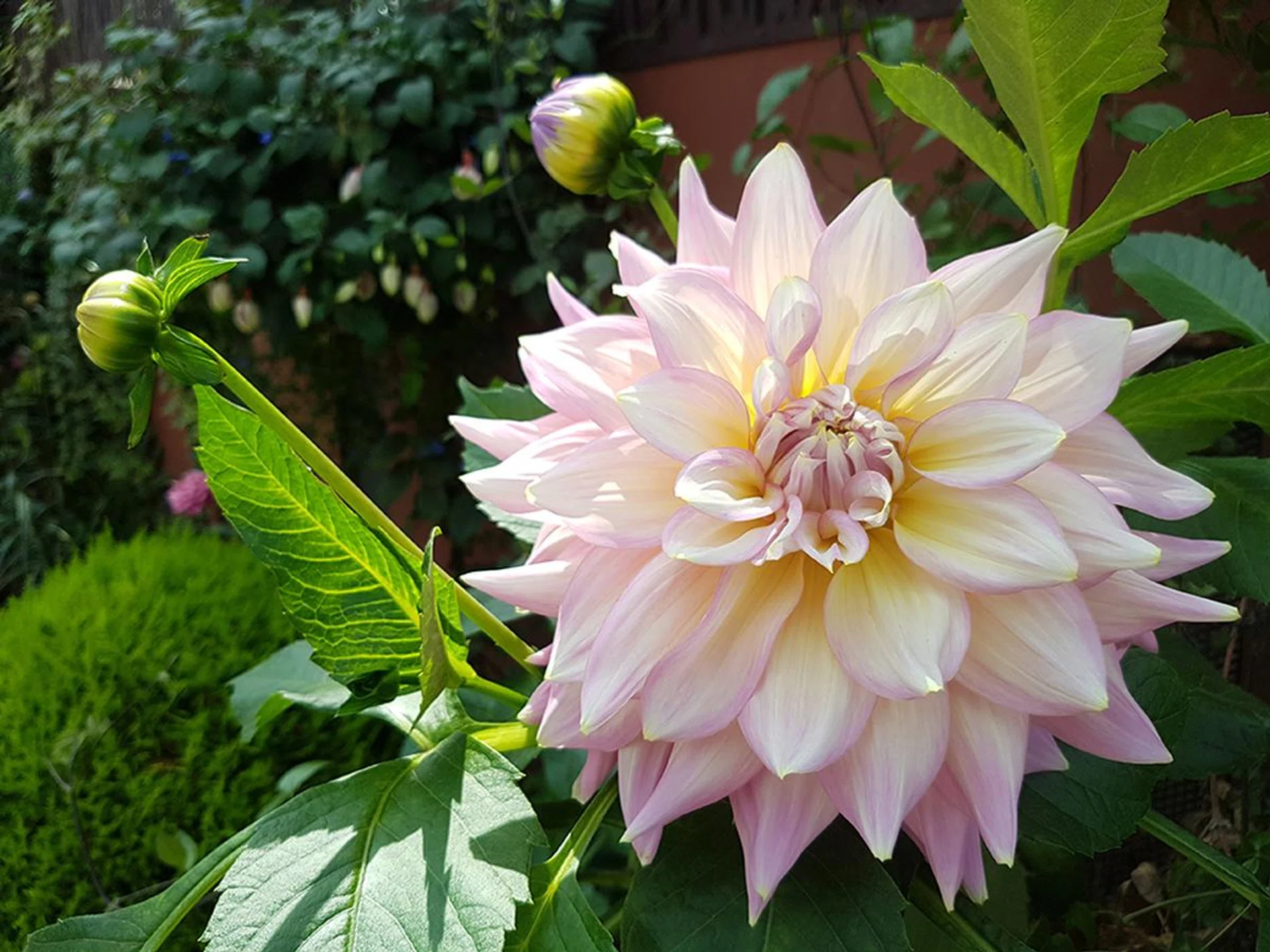 Samsung Galaxy S7 Edge. f/1.7 at 26mm, 1/450 sec, ISO 50.