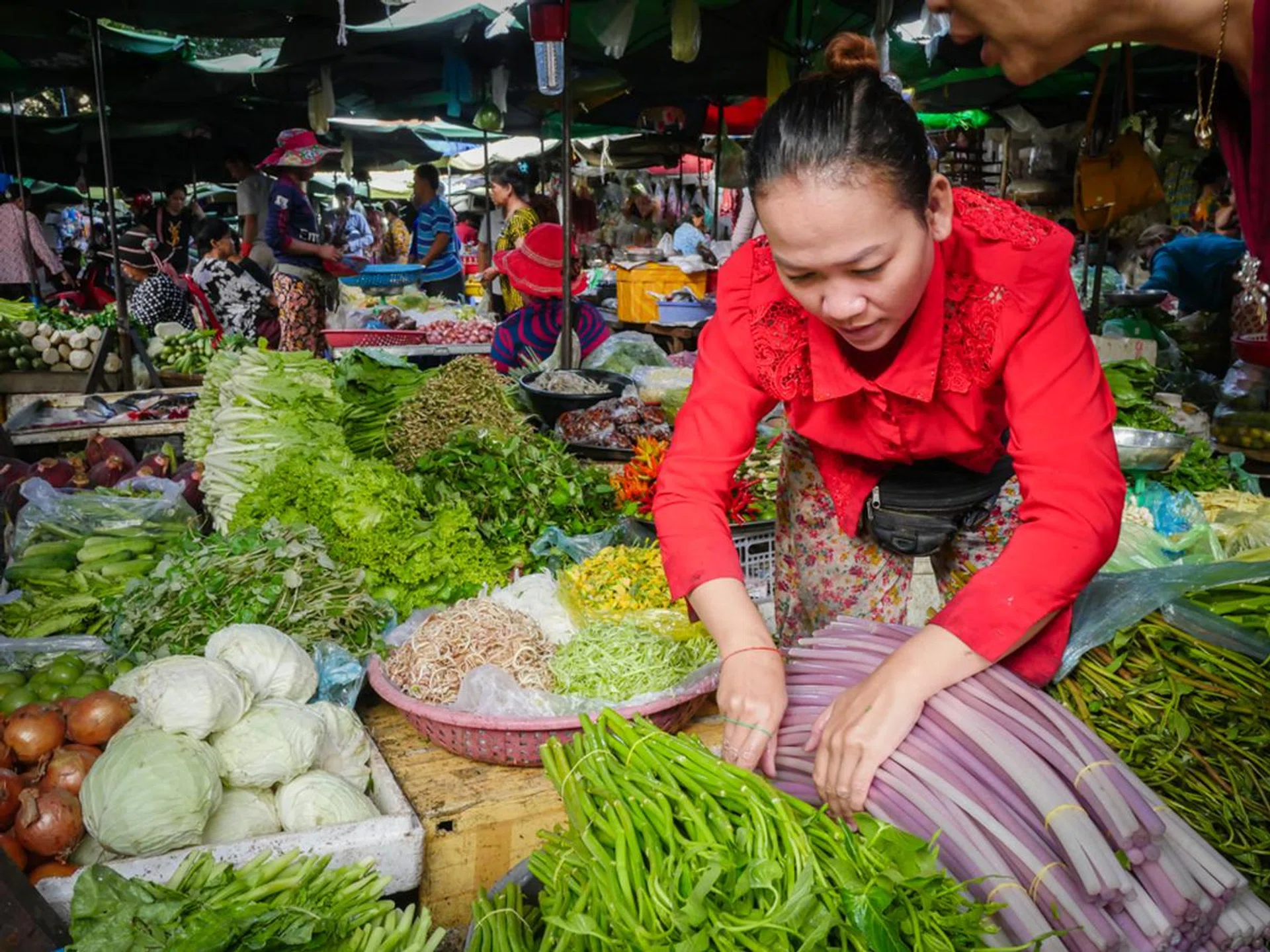 f/8 at 30mm, 1/80 sec, ISO 1600.