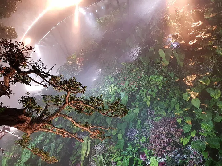 Photographed with the Note8, f/1.7 with wide angle, 1/13 sec, ISO 200.