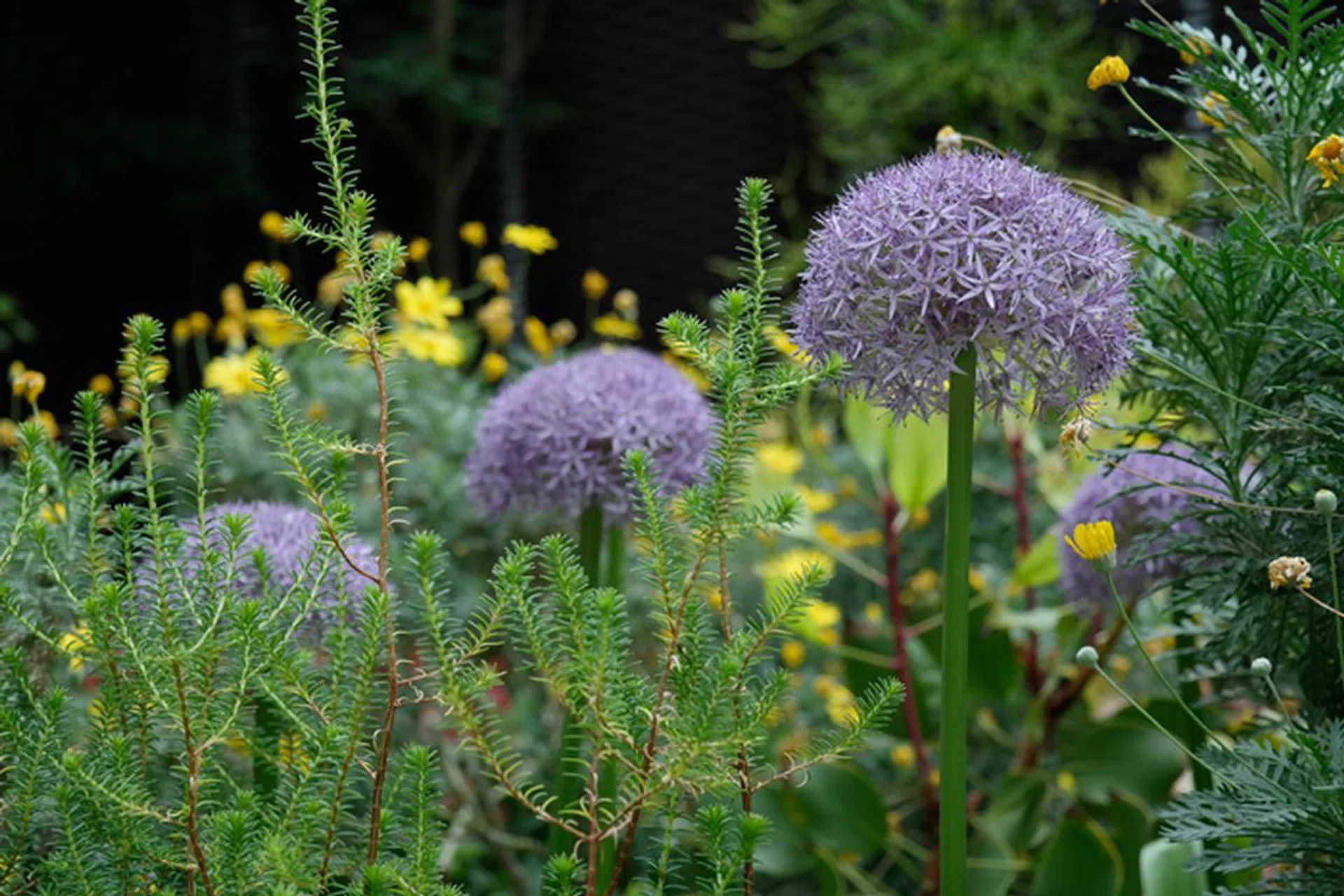 f/5.6 at 84mm, 1/80 sec, ISO 800.