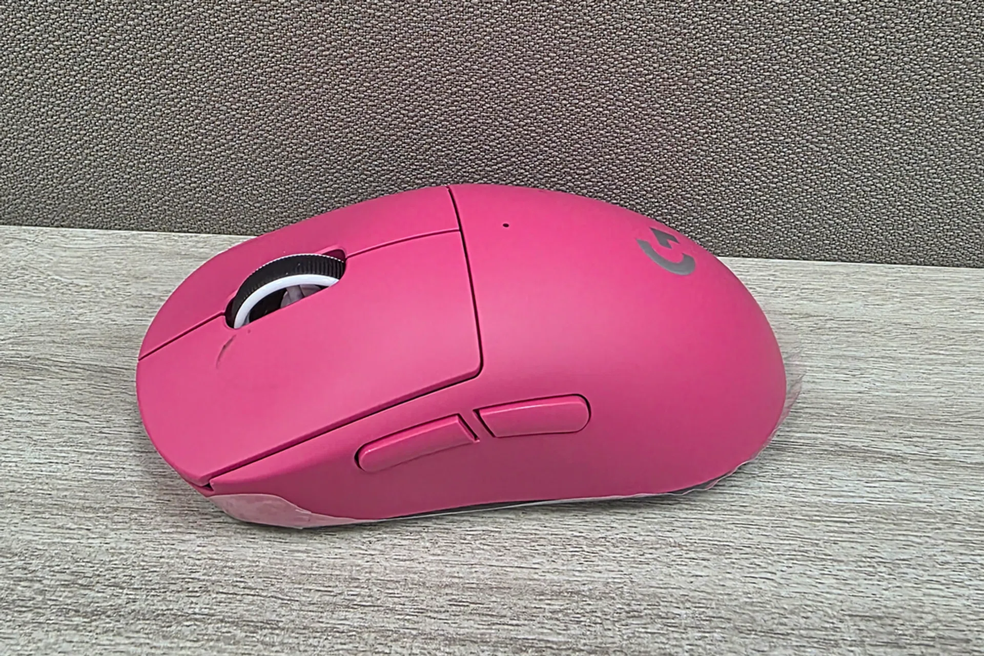 Image of the mouse’s side view 