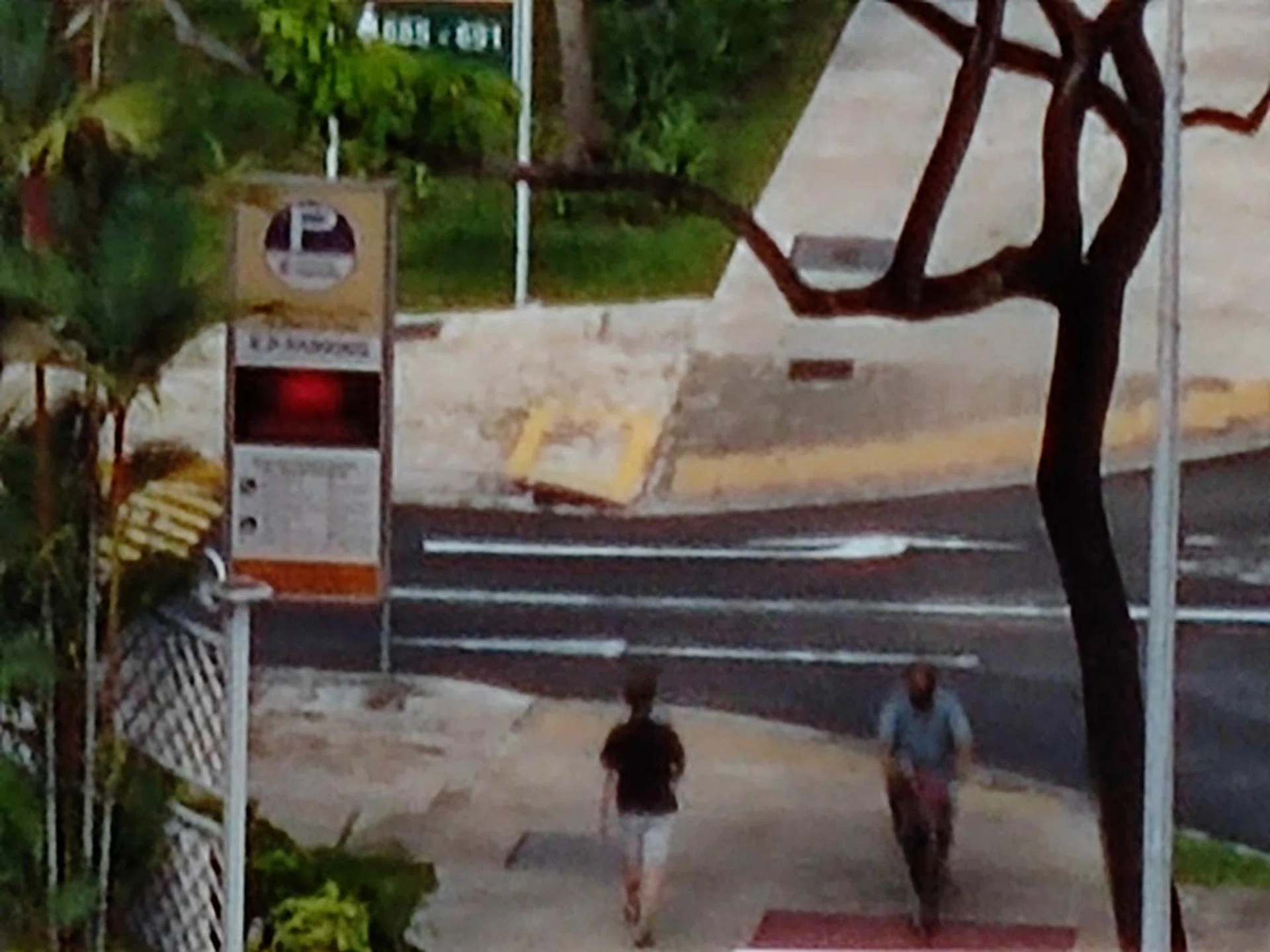 30x zoom (the highest zoom option on the phone). The outcome is expected considering there's no telephoto lens offered.