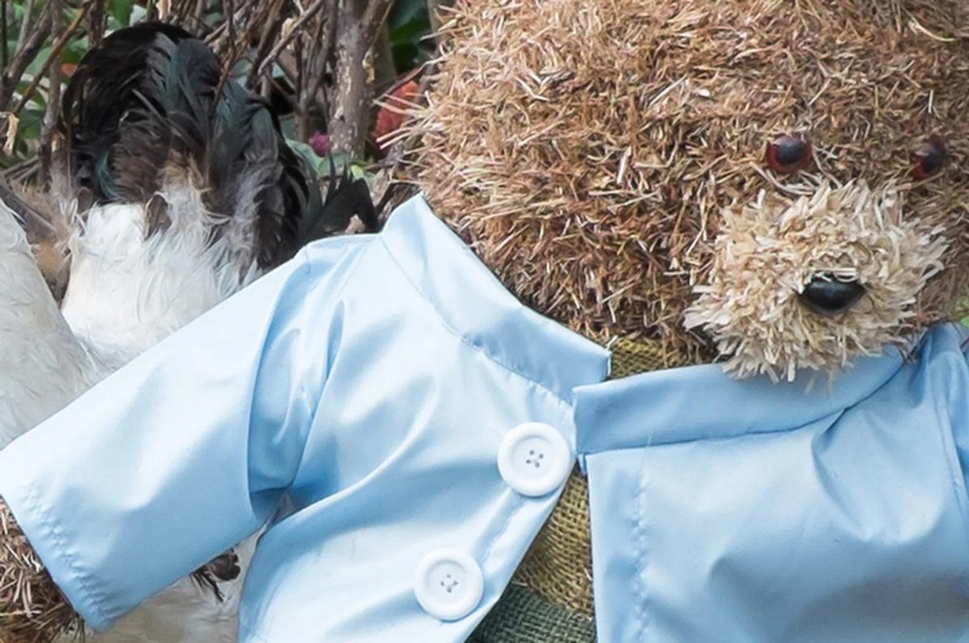 100% crop, f/8 at 35mm, 1/50 sec, ISO 400.