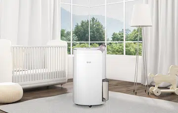 LG Dual Inverter Dehumidifier with Ionizer (MD19GQGA1).