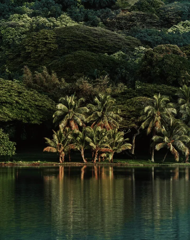 Photo sample (after): With the Sandmarc 10x lens attached. Photo: Sandmarc.