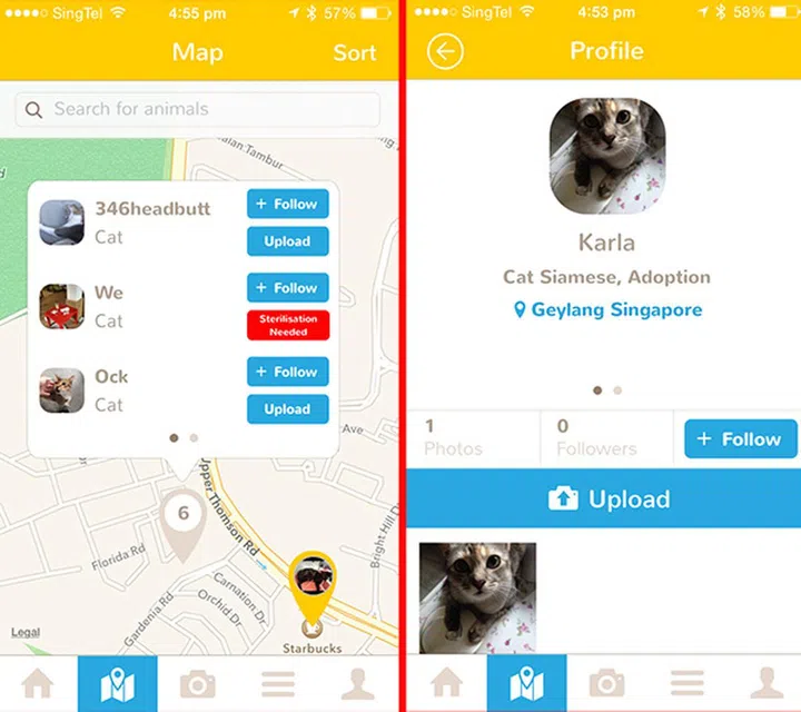 On the left, we can see that there is a community cat that has been marked for sterilization. On the right, we can see that there is a cat available for adoption.